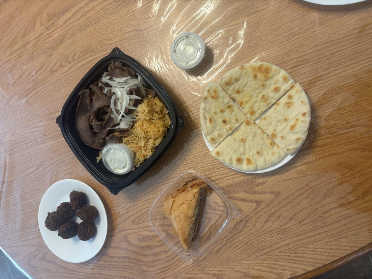 All of the different Mediterranean foods work really well together and give an authentic experience. Dipping the crispy falafels into the tzatziki sauce really sofend it and gave it an extra veggie flavor   