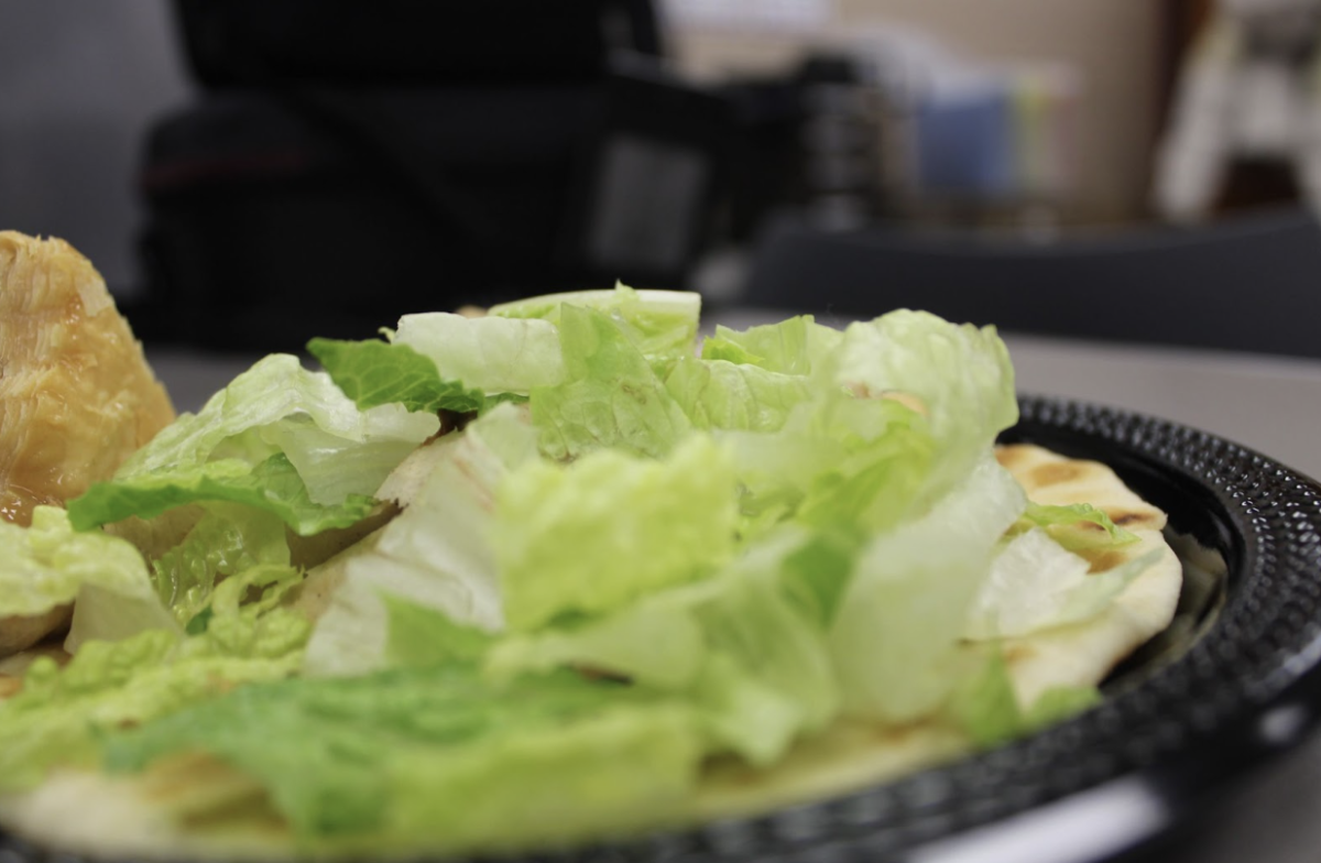 The ingredients look fresh on top of the warmly toasted pita bread.