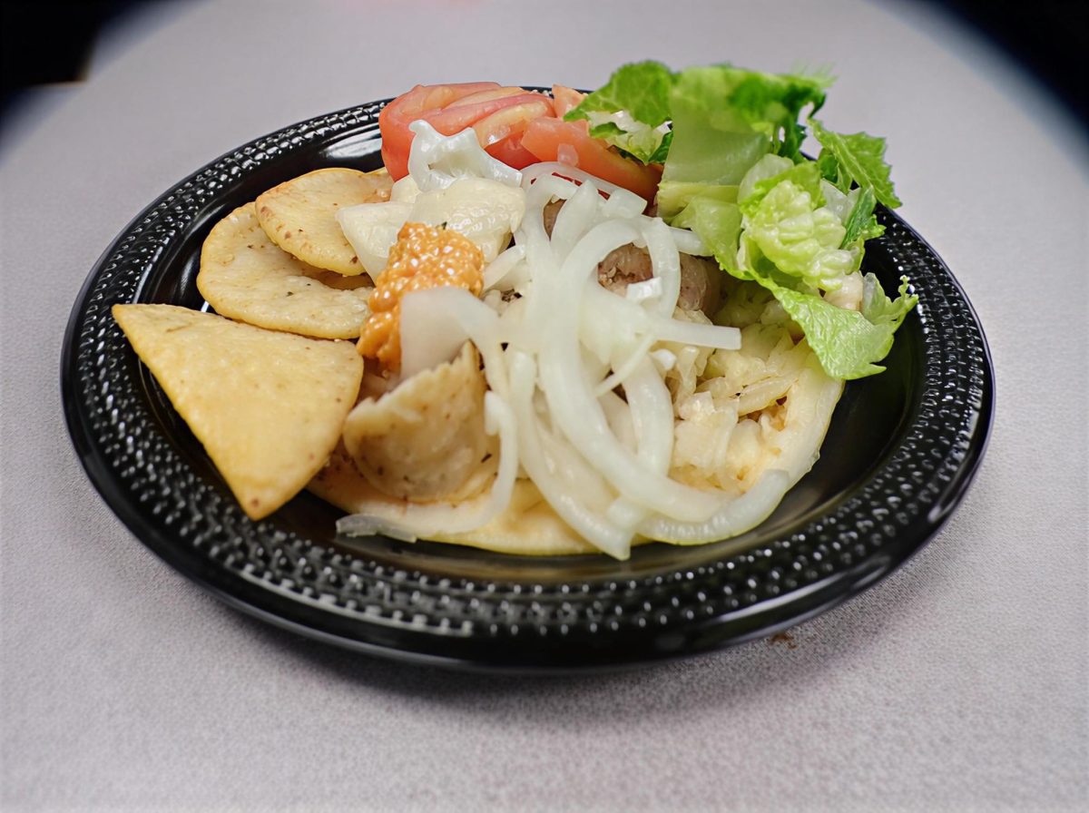 A usual way to look at a vivid plate of Dinos. 
The perfect looking plate of lunch featuring  chips, onions, tomatoes, lettuce, chicken, lamb, sauce and pita bread.