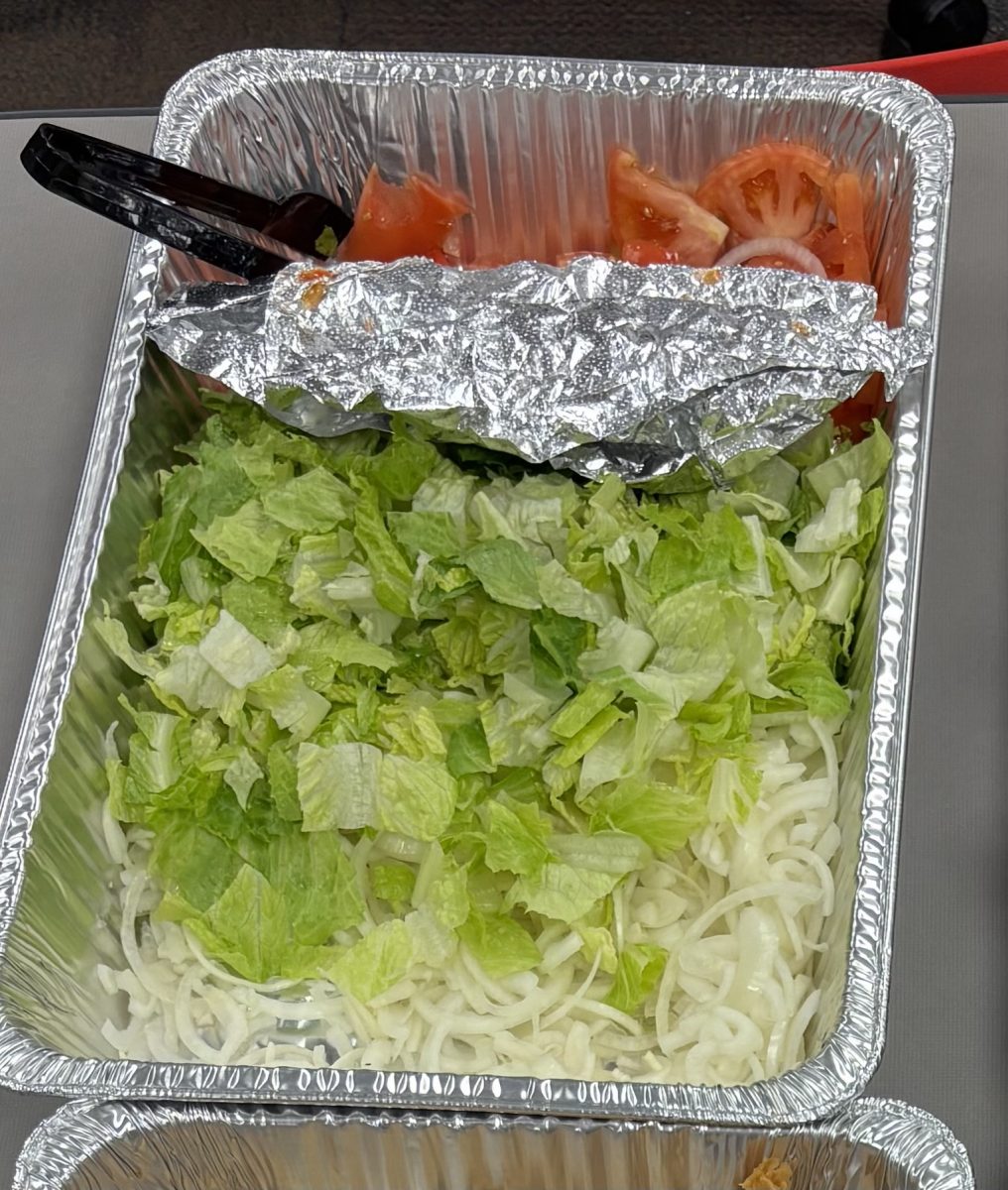 The garden-fresh vegetables are an exemplary way to add a refreshing crunch to any meal. From the juicy tomatoes or crisp lettuce it is sure to up the gyro game.  