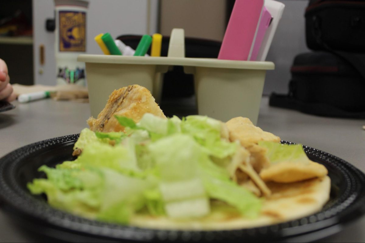 The gyro is served on a sleek black plate with warm pita bread, light brown chicken and fresh green lettuce. The baklava served in the back along with the crispy pita chips add warmth and balance to the dish. 