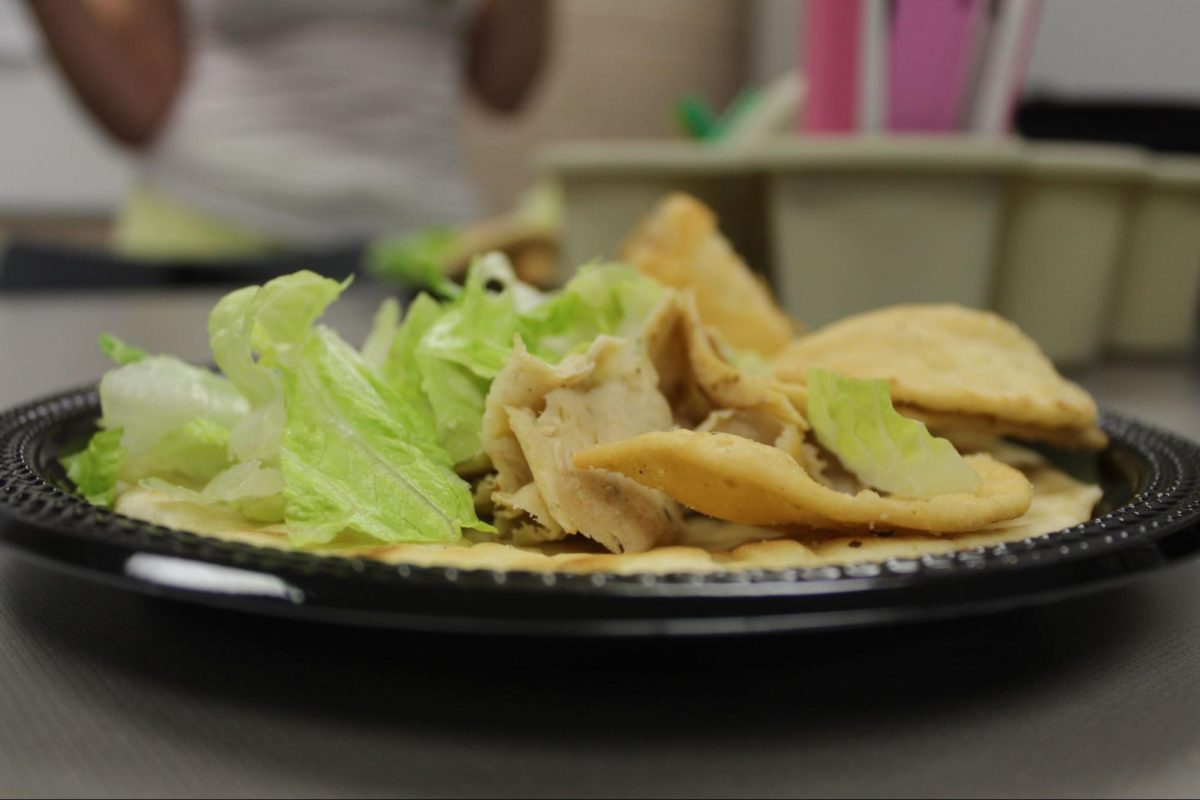 Tender, shredded chicken rests on layers of crisp lettuce, showing off its juicy texture. Golden, seasoned pita chips add a satisfying crunch that contrasts the soft chicken.  