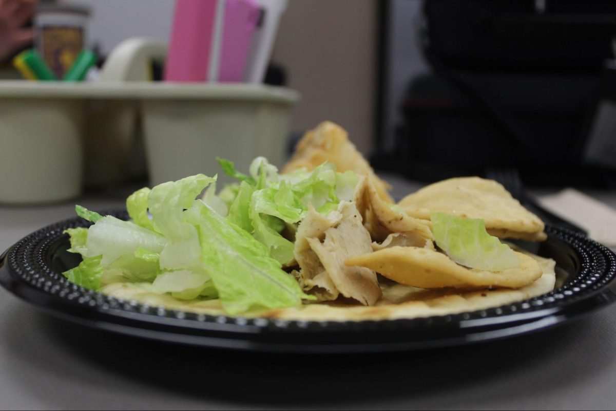 Thin pieces of chicken are layered with soft pita bread surrounding it, along with the toasted pita chips adding a contrast in texture. The mix makes the dish look filling and well balanced. 