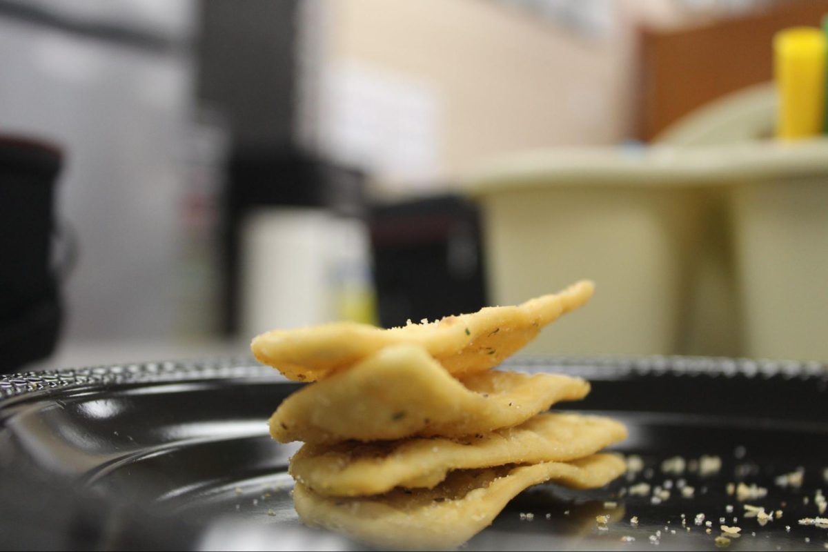 The pita chips are shown up close, with coarse salt and scattered crumbs along the plate. The rigid structure and golden finish emphasizes the bold crunch. 