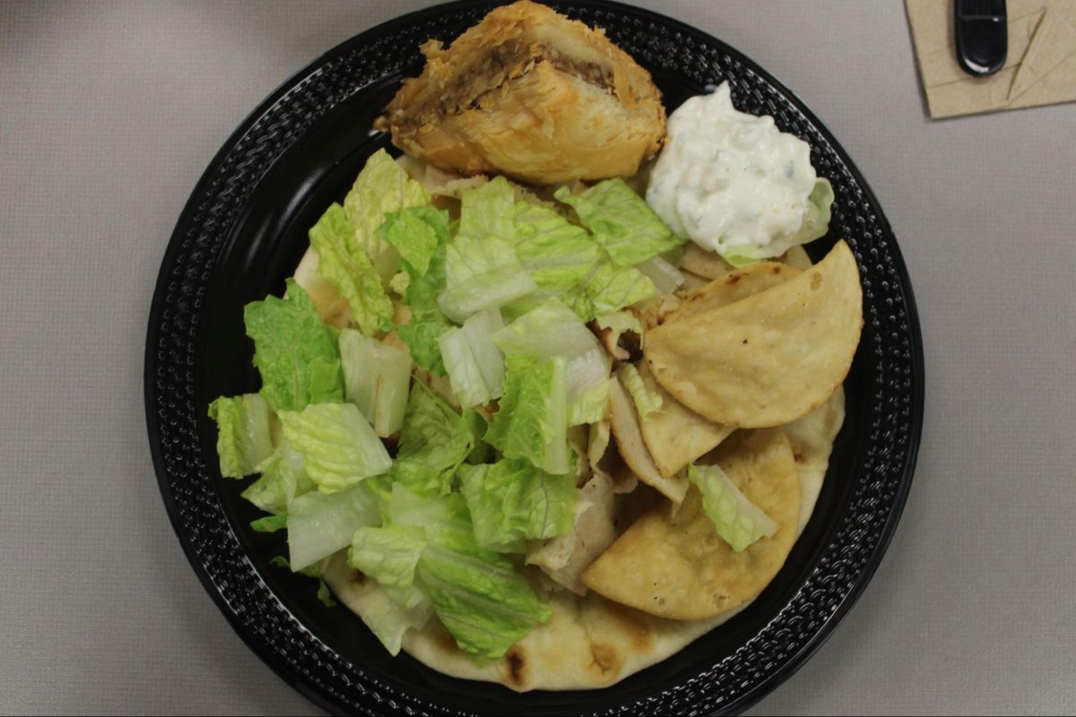 From above, the dish shows soft, textured pita bread with light brown chicken, crisp lettuce and thin flaky pita chips. The baklava adds contrast with flaky layers, along with the white bright tzatziki sauce.
