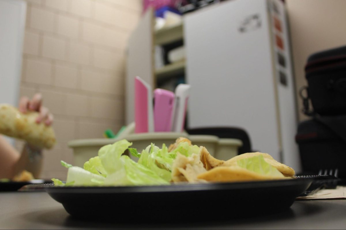 Thin pieces of light brown chicken stand out against the slate black plate, paired with fresh lettuce and textured pita chips. The mix of flavor and textured frame the dish and add contrast. 